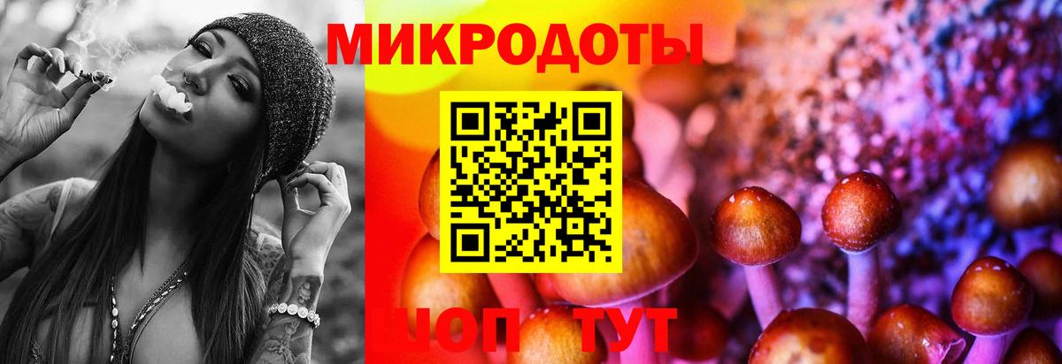 Дербент  сколько стоит  Галлюциногенные грибы MAGIC MUSHROOMS  Вход с VPN  Псилоцибиновые грибы Cubensis 
